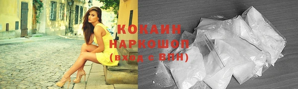 хмурый Абаза