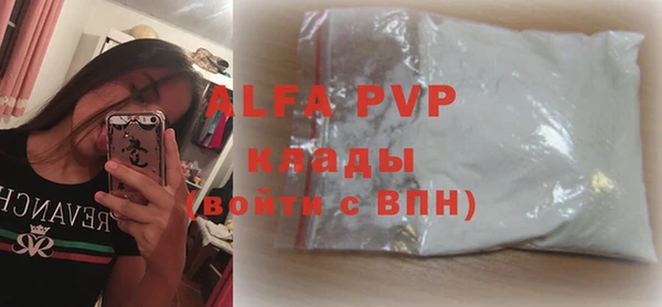 хмурый Абаза