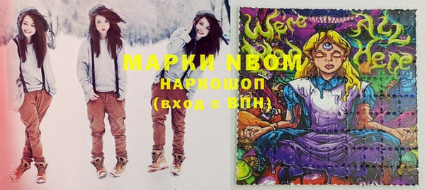 хмурый Абаза
