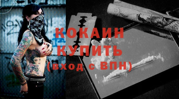 хмурый Абаза