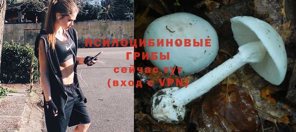 хмурый Абаза