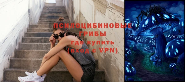 хмурый Абаза
