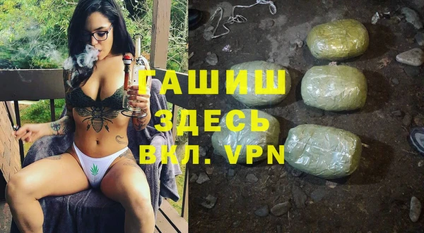 хмурый Абаза