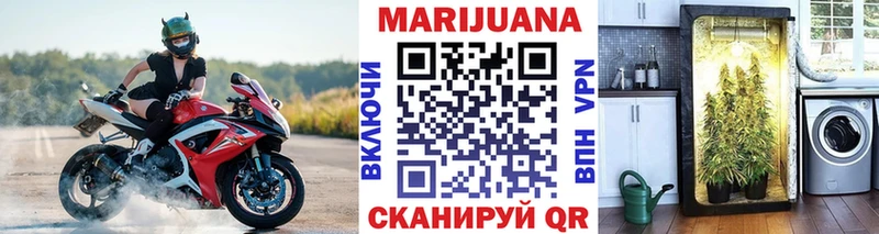 МАРИХУАНА семена  купить наркотики сайты  hydra tor  Юрга 